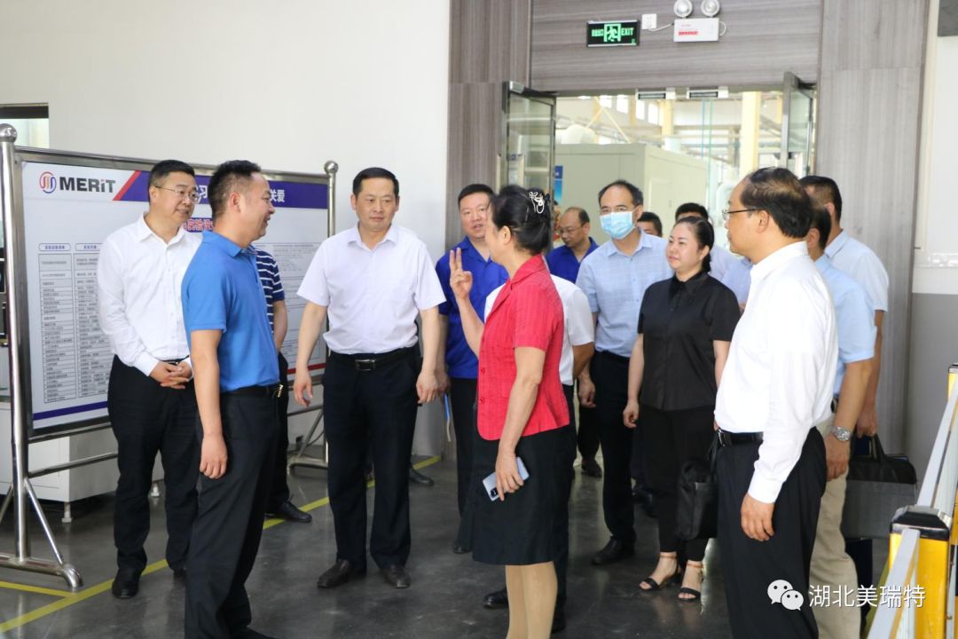 湖北省直單位領導調(diào)研美瑞特公司
